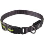 Dog Fantasy LED Koerarihm, roheline, 2.5x45-65 cm